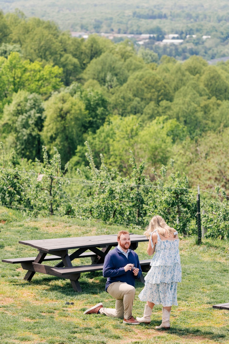 James proposing to Hannah Brooke at a vineyard overlook